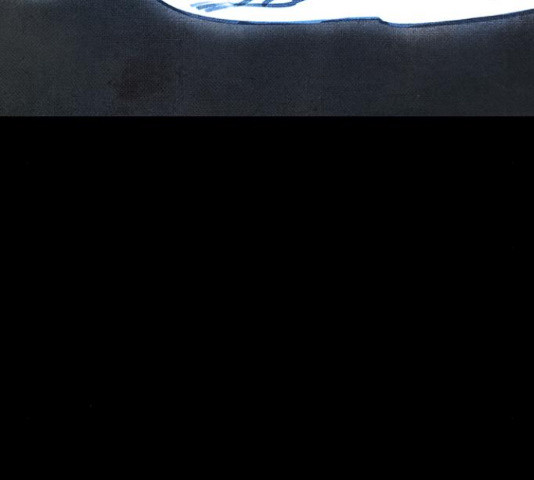 16339300233091wfywdzmofo.jpeg