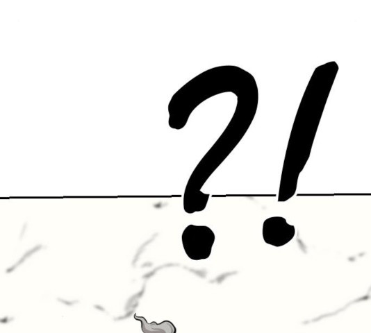 1635464472672qdyq5p5b0qb.jpeg