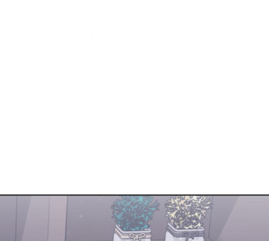 1635809344593erfruxaccn.jpeg
