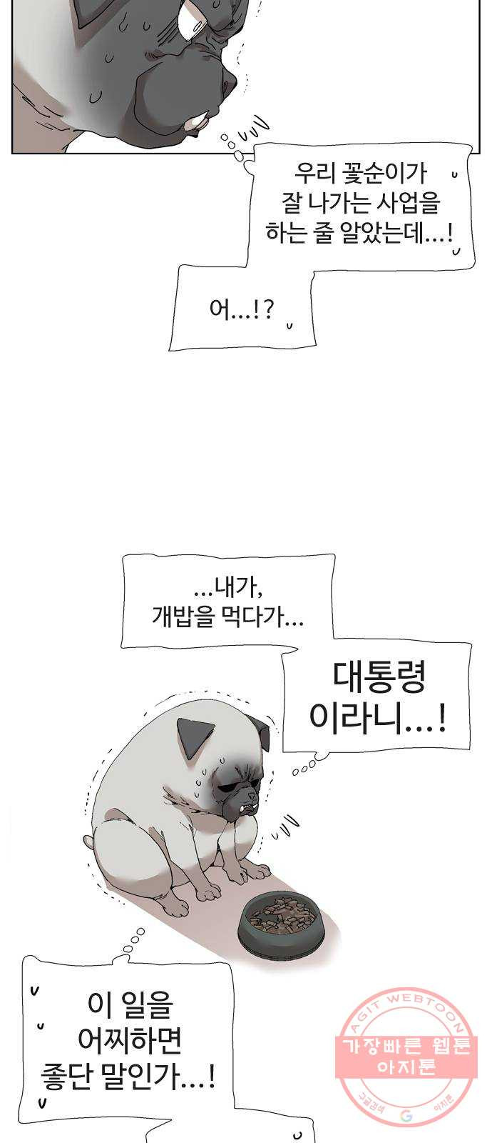 1637551217679lp13kuwrwyn.jpeg