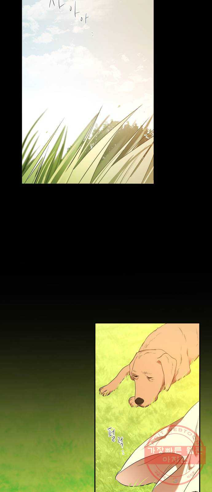 1625898769268.jpeg