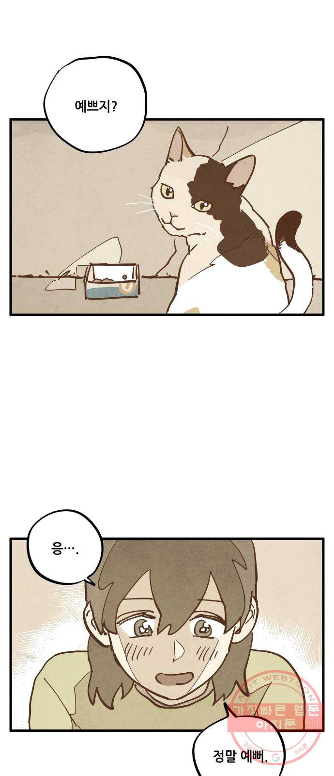 1625532500090.jpeg