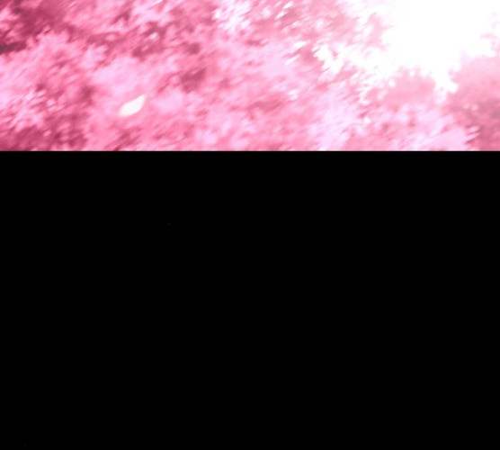 1625706835602.jpeg