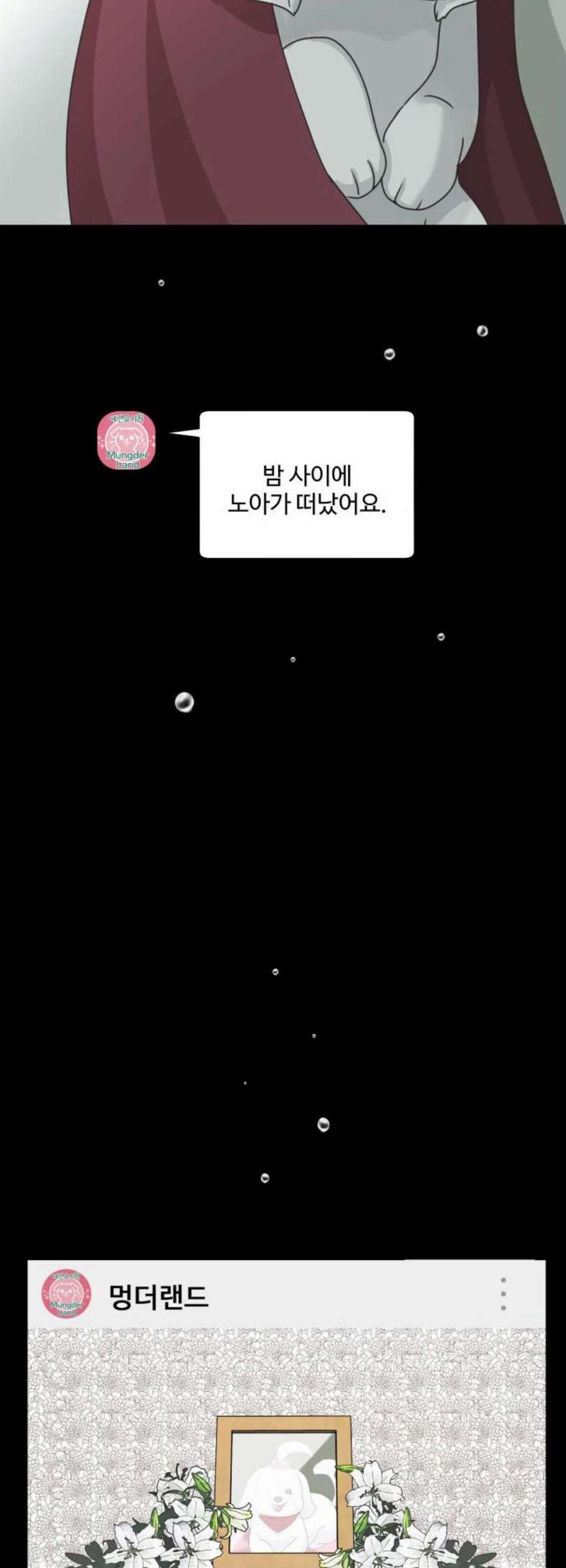 1625789787515.jpeg