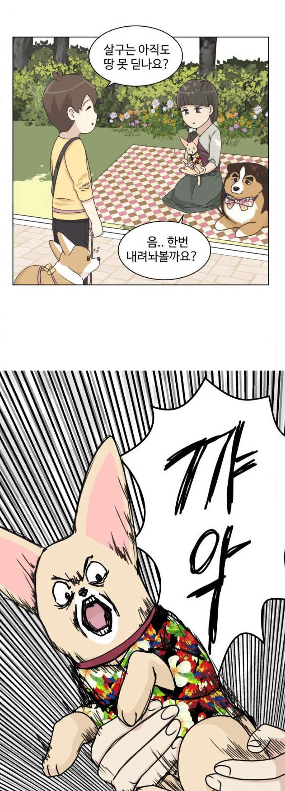 1625789789371.jpeg