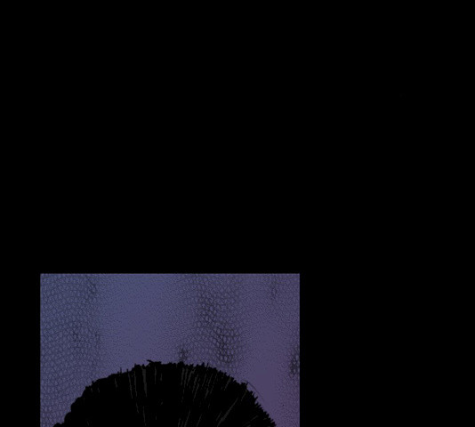1628897725362.jpeg