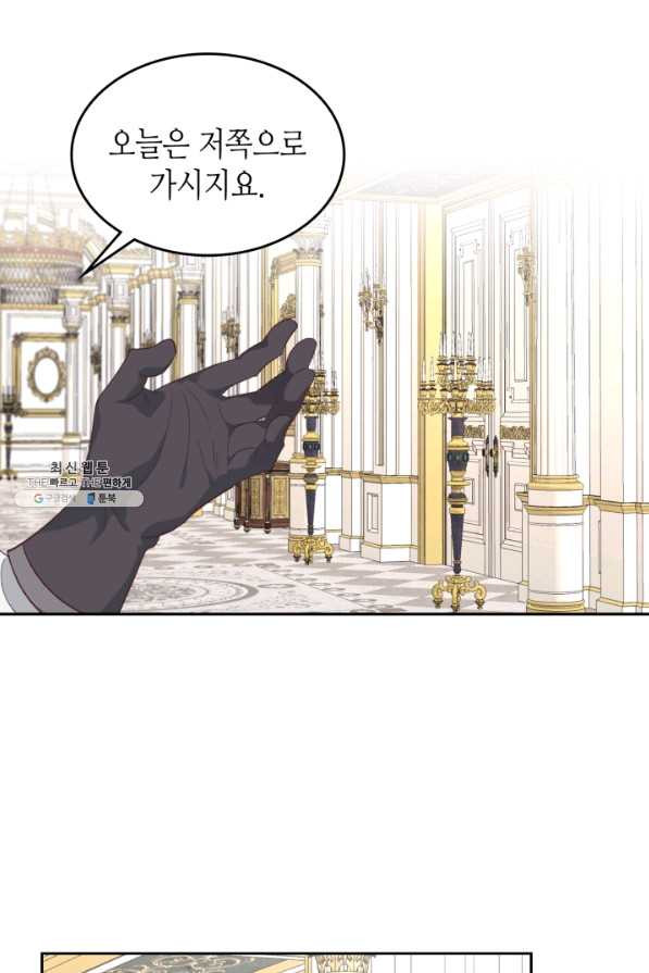 16319307207615toghcesboo.jpeg