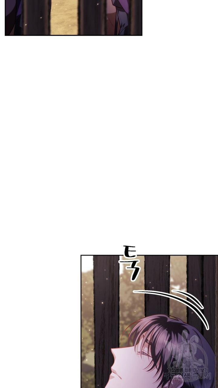 1641003751981l8rev6vineb.jpeg