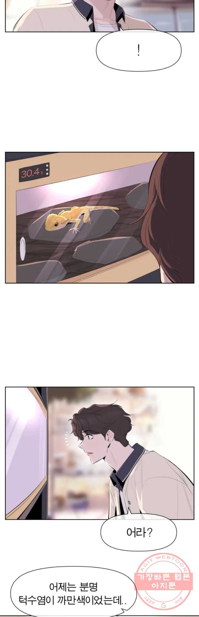 1642126860029gogab96by8b.jpeg