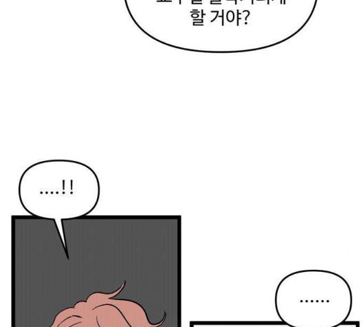 1641303513263ss2enn37nk.jpg