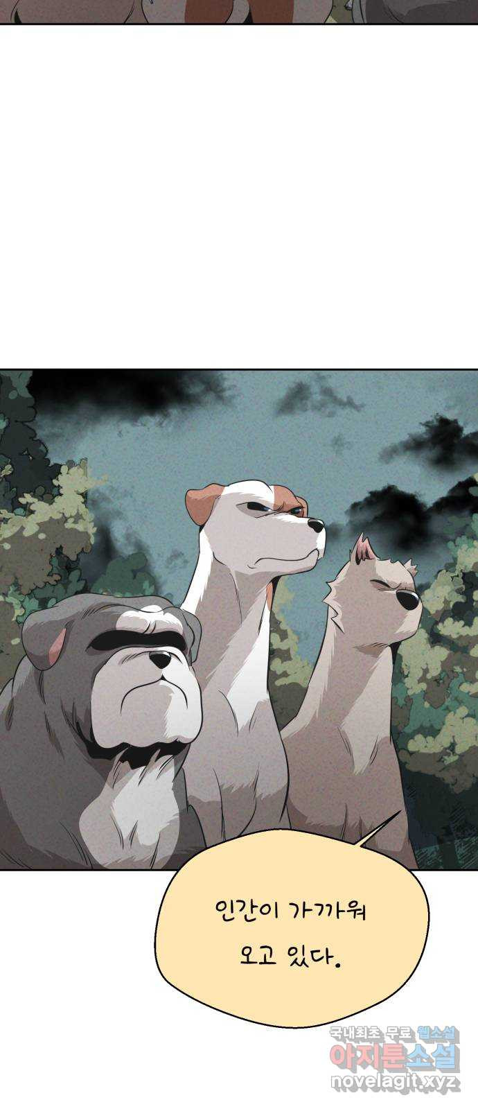 16662319015602ogtbjxqxzi.jpeg
