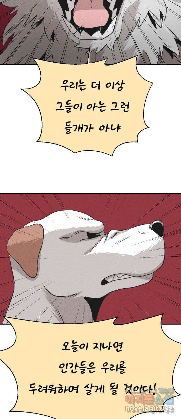 1666231903096d7086cihqhs.jpeg
