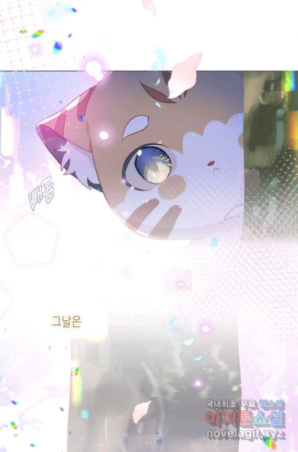 16652863538805hs9bxb7l7.jpeg