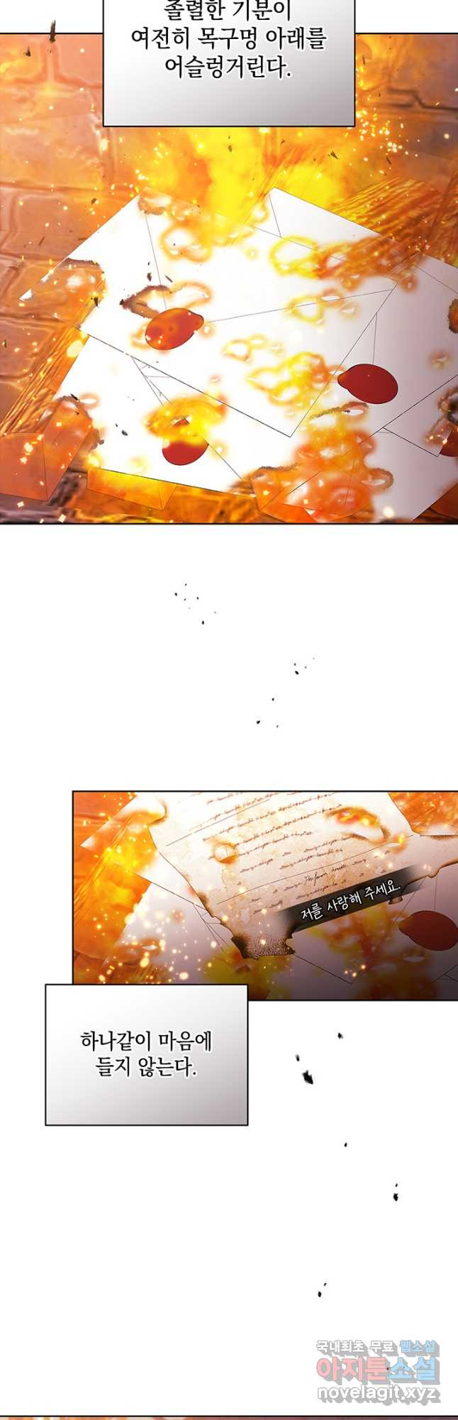 167053774991081x28evlb4u.jpeg