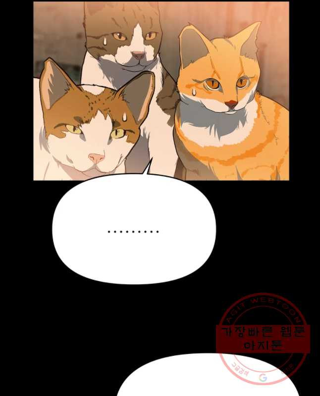1646622403678ovj3nczwnw.jpeg