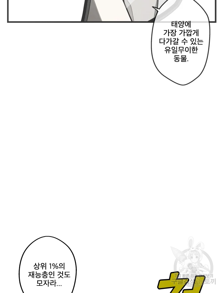 16493005385977oeica1q877.jpeg