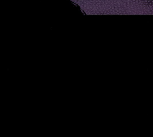 1654916779620i0t93bj5w0i.jpeg