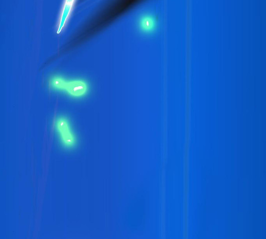 1654216297521pq3s7q2lsk.jpeg