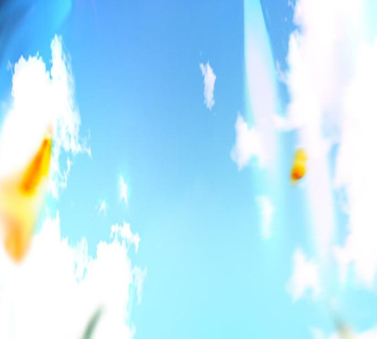 1654216297829k5ah7q15igp.jpeg