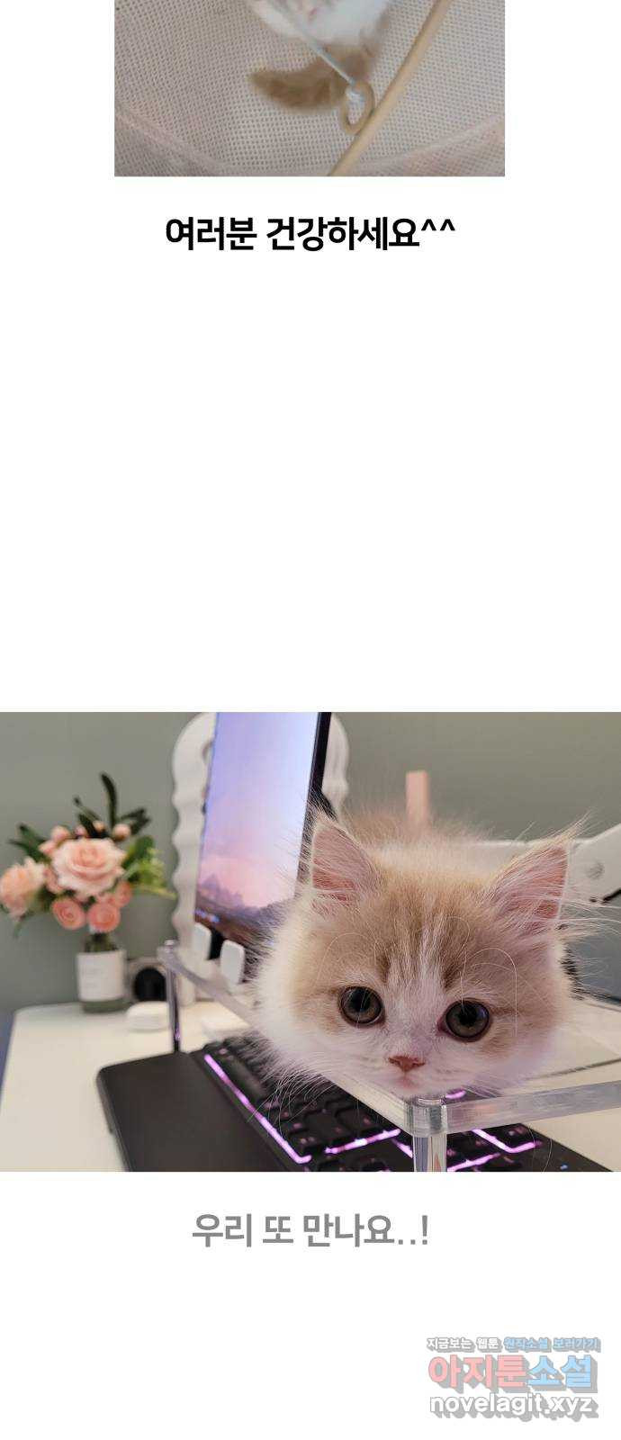 167340413800398115cdpggu.jpeg