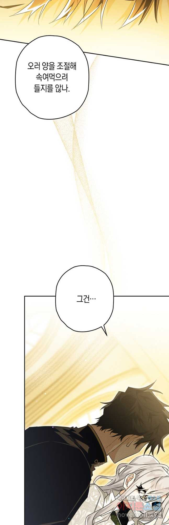1674522172295lsjysn38q1g.jpeg