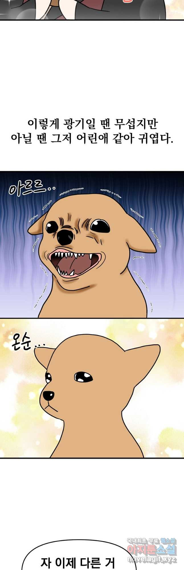 1677116995521tnp8hw15yce.jpeg