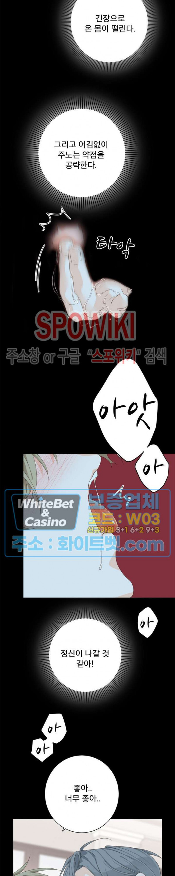 1681611830604wjk7shv5r3.jpg
