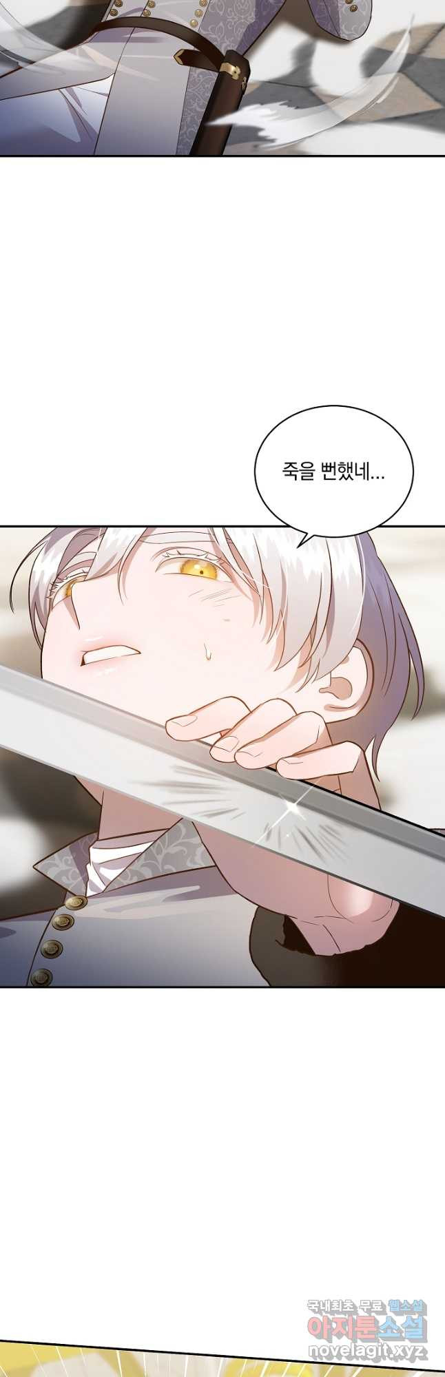 16808350052881tig9h44v7.jpeg