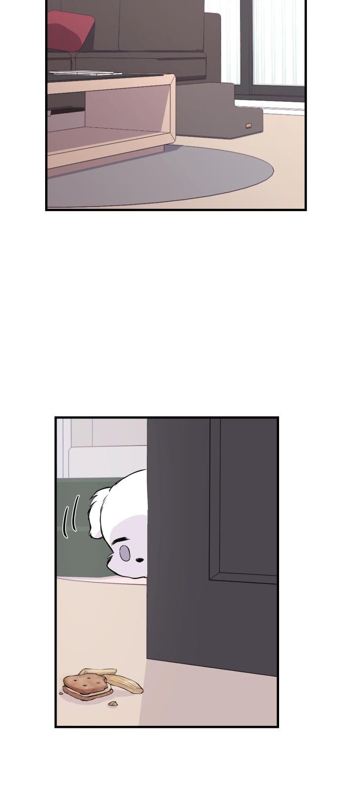 169500285474053o9pwck5o.jpg