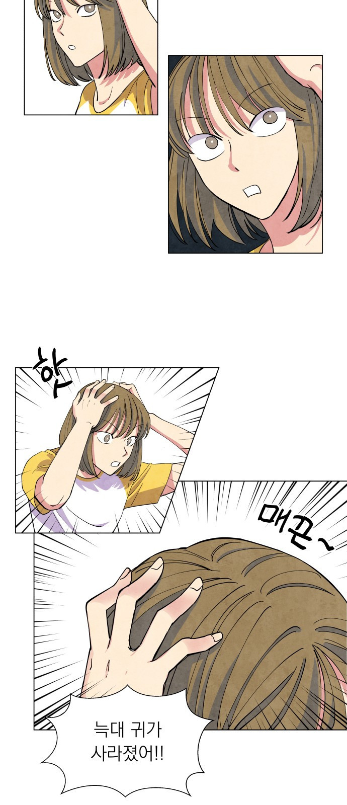 15653879350631.jpeg