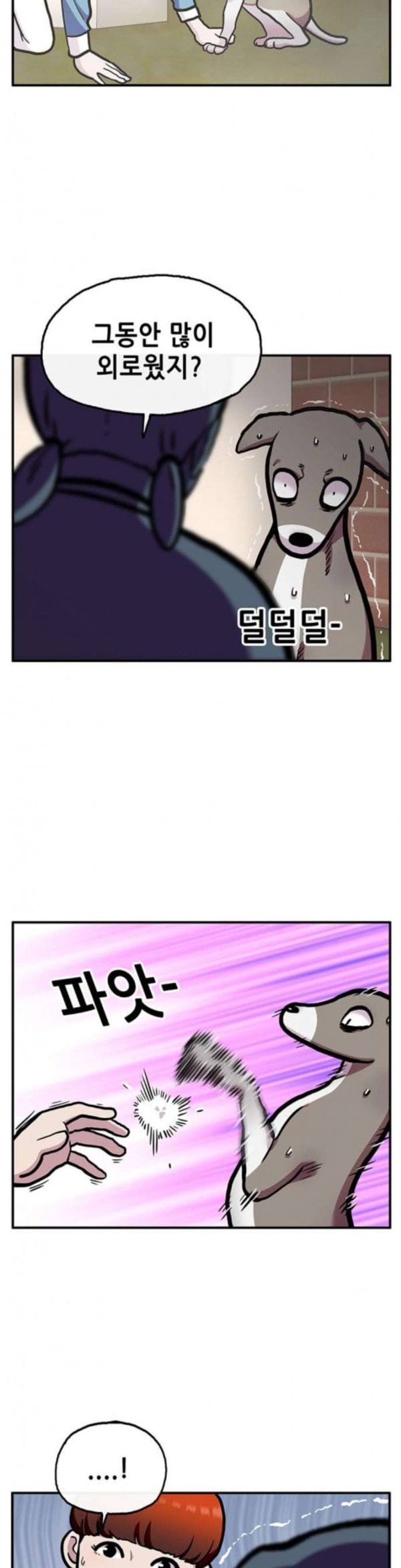15797991980852.jpeg